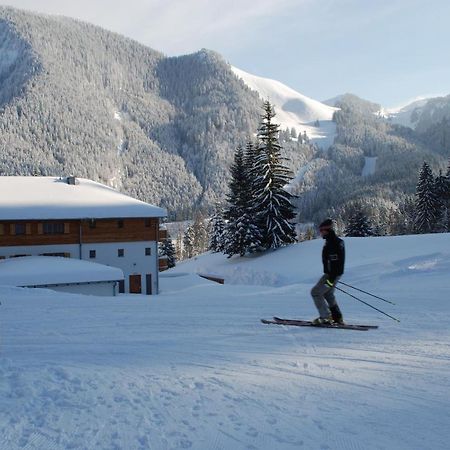 Blsv Sportcamp Direkt Am Kurvenlift Hostel Schliersee Exterior photo